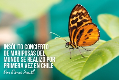 Insólito concierto de mariposas del mundo se realizó por primera vez en Chile