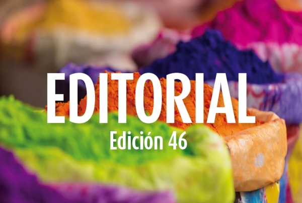 Editorial Icimag 46